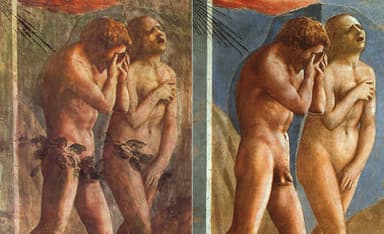 Five Puzzles Arising from the Story of Adam and Eve