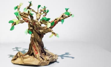 How Jewish Is Jewish Environmentalism?