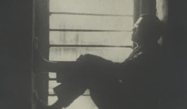 Did Jabotinsky Really Mean it or Was He Pandering?