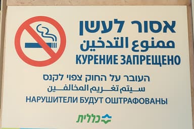 What Israel Gained from Its Russian Citizens